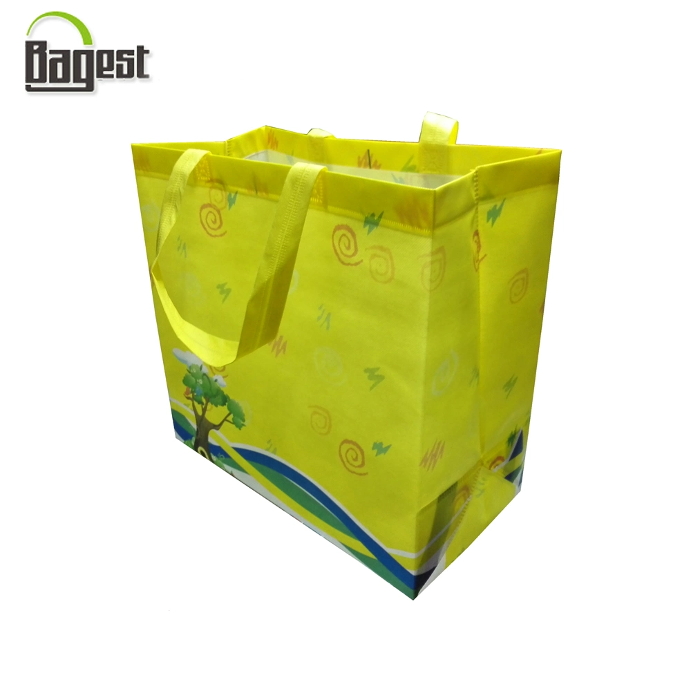 100/120/140/GSM Cheap Printed Promotional Gift Shopping Tote PP/TNT/PLA/Bamboo Non Woven Bag